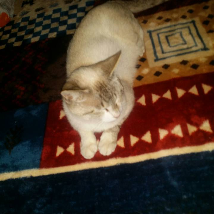 3ff83df8 fd06 44b5 9a56 44688f2322a0 1524323733951