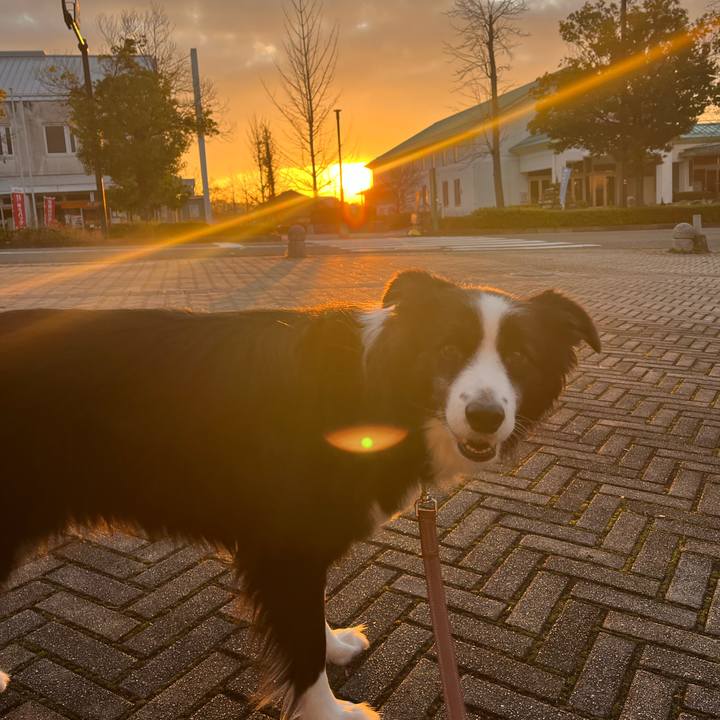 3ff86684 d7dd 4be9 a19f 0b58a1a1b71e 1766100495833