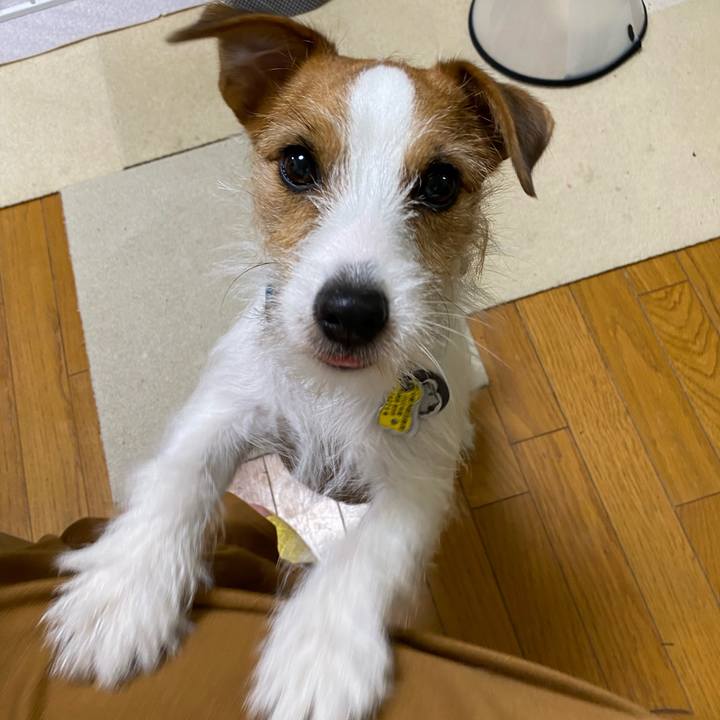 3ff87aa7 a92c 434f 99ce 9fef1773b056 1669158451670