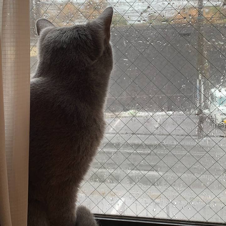 3ff88acd ba25 4353 bb54 c26352667f3b 1585444146501