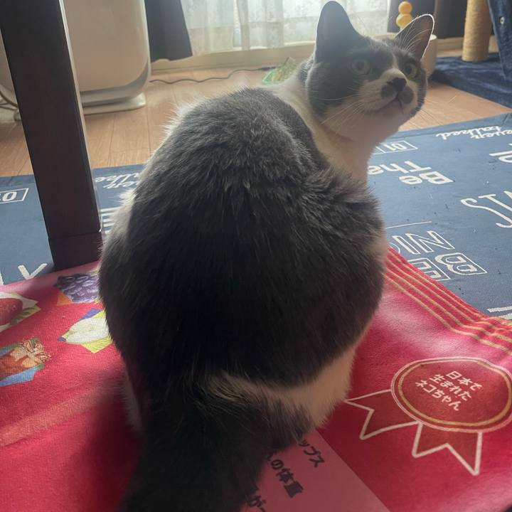 3ff89e74 8cd4 464c 8493 d3e00f6b40f0 1718058447112