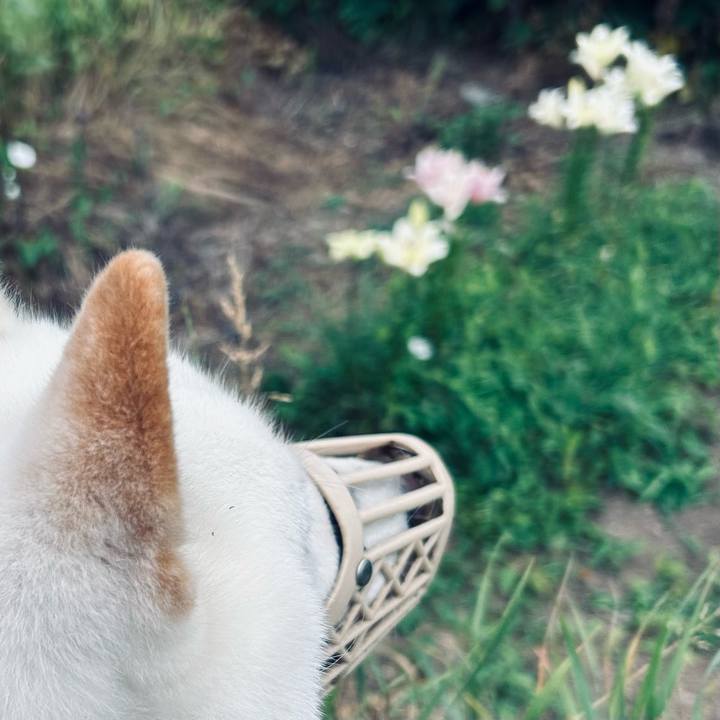 3ff8c8f1 5f04 446a aab8 6bc74170a3a3 1721340016518