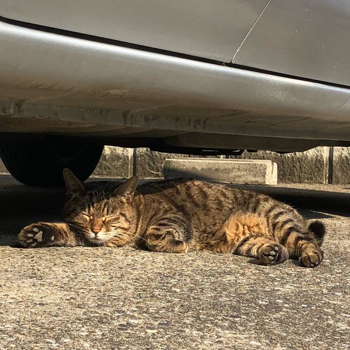 3ff97df7 9e22 48d9 a356 1d560de647a9 1519717862803