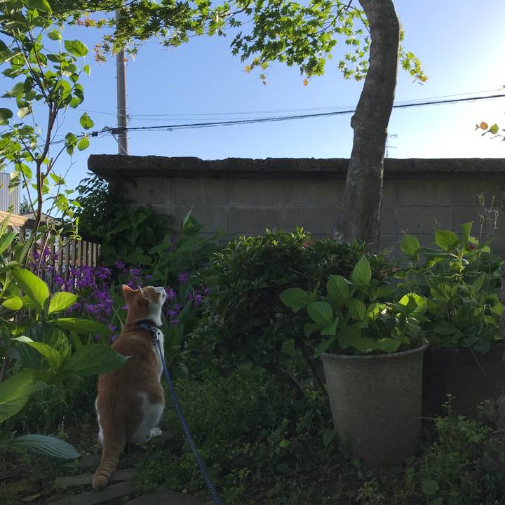 3ff9a496 eee7 41da 9392 f481df90e06b 1527246439669