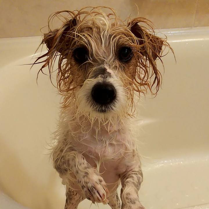 3ff9efd3 7ed3 4556 8f74 4c207366acad 1542549764630