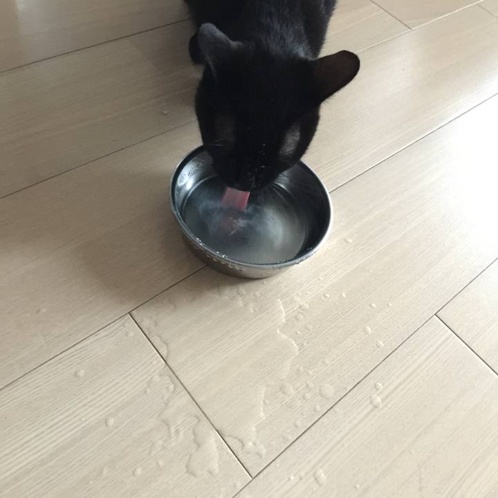 3ffa52e0 1f7a 49c5 bca7 4cd6ae90f204 1536370499679