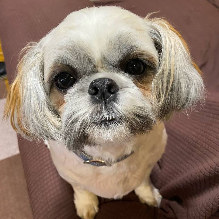 3ffa5729 5e55 4abb 8254 3fd15078cf1b 1659951317906