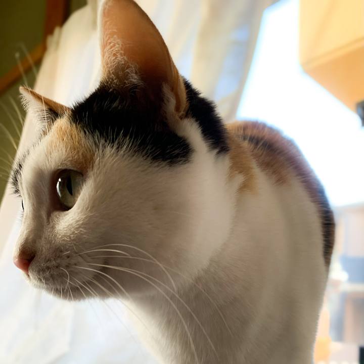 3ffa5c31 1dfb 4cb2 8606 b64eb32a6590 1579310839196