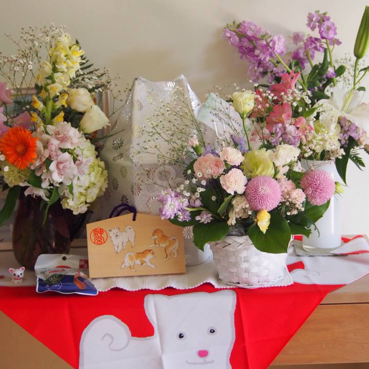 3ffa5c3a d3c7 41ac 9d10 7e7475e89fc2 1519022267840