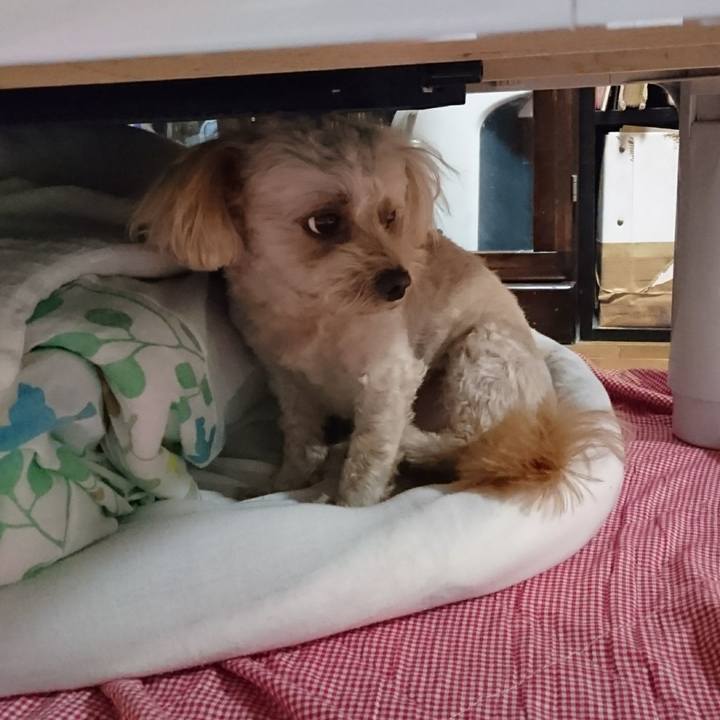 3ffa67b4 7037 430c 8f02 4ad697c24758 1601899121012