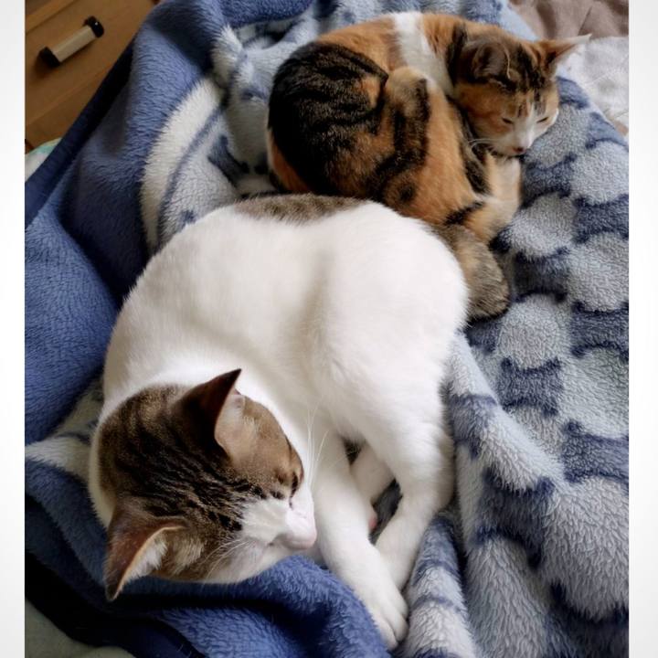 3ffac6e0 d5b1 447b 9608 327a9f608ffb 1718359347374