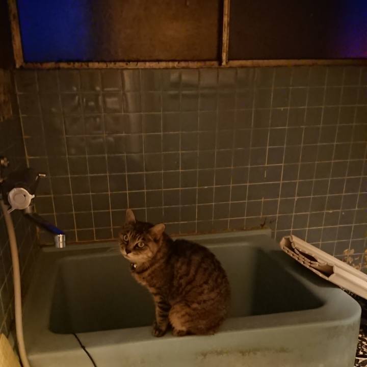 3ffad699 d90f 424f aa60 36d9085e6076 1572684596331