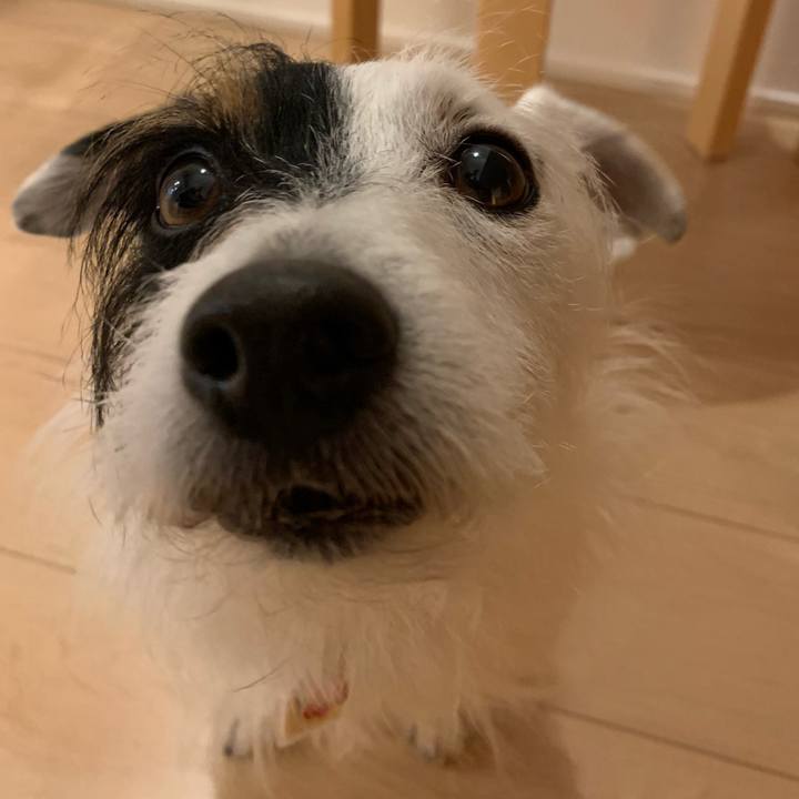 3ffb0961 cc58 4145 ba04 26ef0e943939 1615894375783