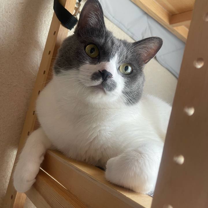 3ffb6688 d9c9 40eb b27d a53768621a3b 1756335878233