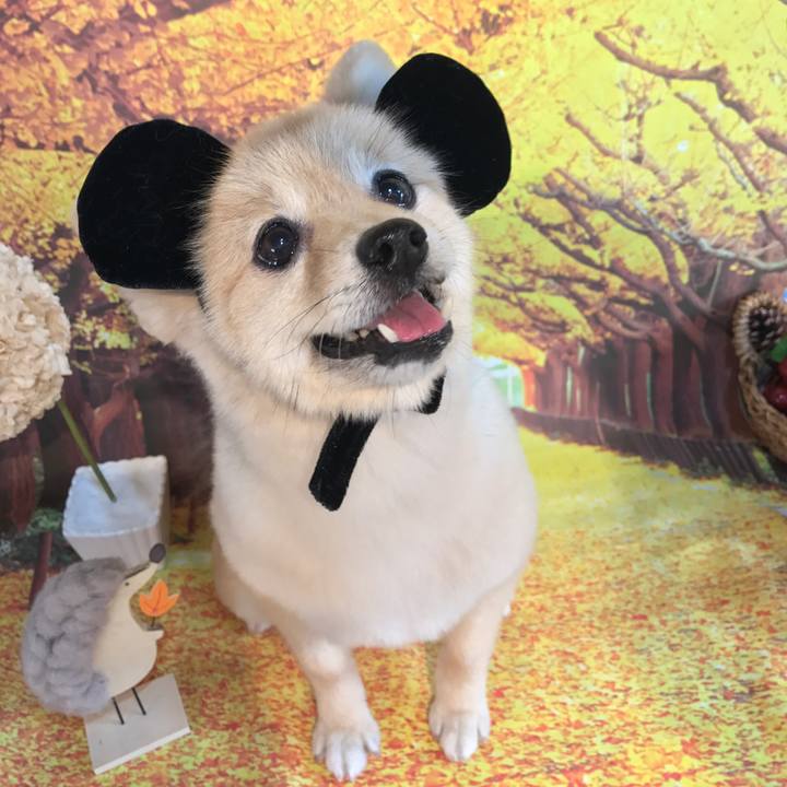 3ffb7a93 15db 42bf b3db c885ae123306 1578220204248