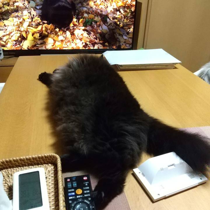 3ffb7d71 5918 441e 9483 05a5f7193029 1661426650562