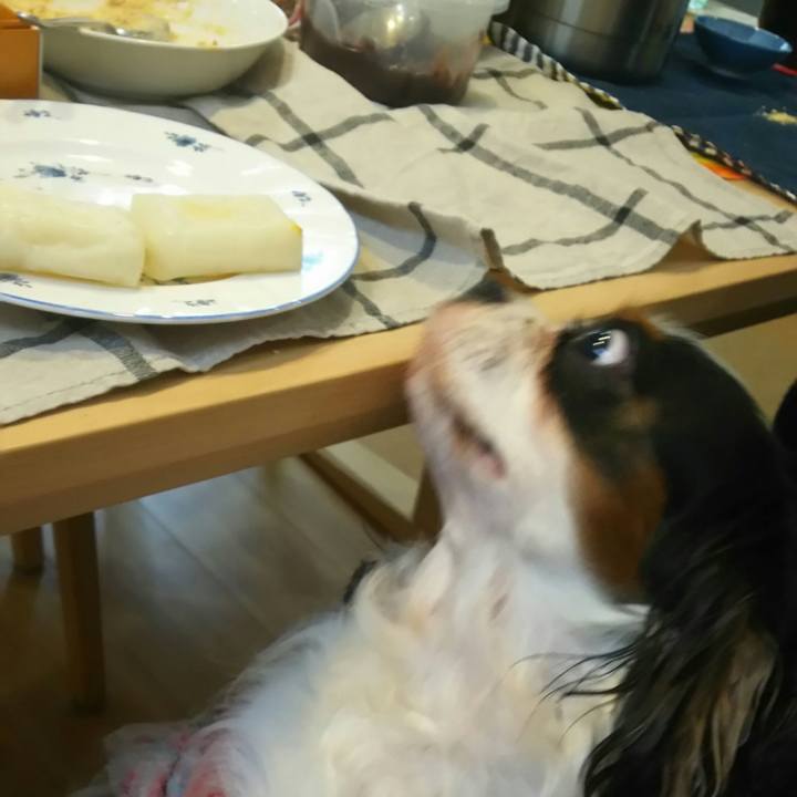 3ffbaab8 3dc1 4843 9dd5 aae57c5355ae 1515294492553