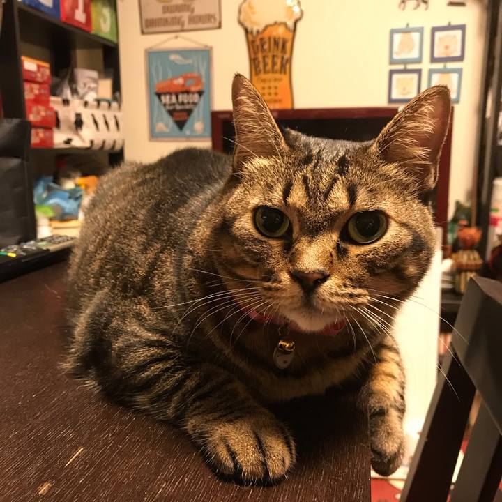 3ffbc3ee 0222 4ef1 9335 0d09a587465f 1600178535149