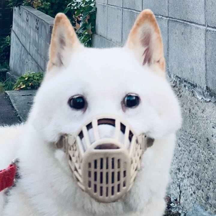 3ffbea4f 377d 4d99 8a3c d6648e431d34 1598562733110