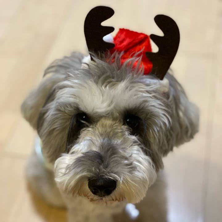 3ffbf513 e540 418f 9b57 cc16f5b3b8a2 1640363606971