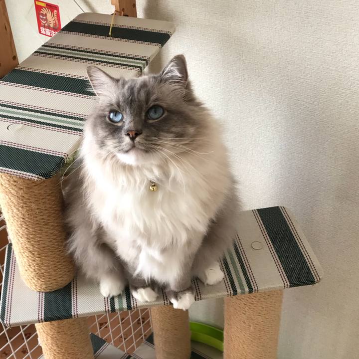 3ffc0ed2 c673 46c5 aa9d ccd20a7e1b05 1515762649761