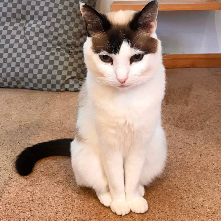 3ffc6094 d6c1 4397 a505 fd7600684493 1583913923137