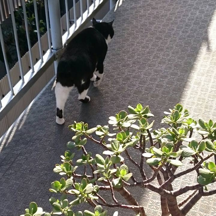 3ffc9054 de6d 44f5 9fba cd91ada5a1b5 1525132868044