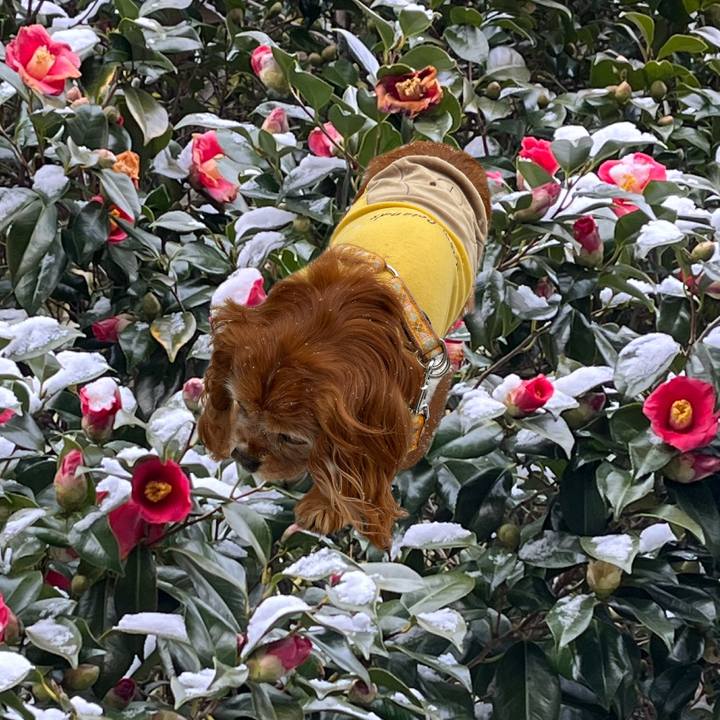 3ffce099 38d6 4262 81d7 6e6b8f6ea21a 1770510551192