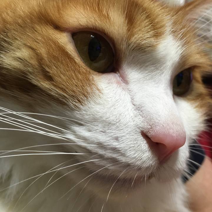 3ffcee4f 4804 43db 843b 9345232e865e 1545995990858