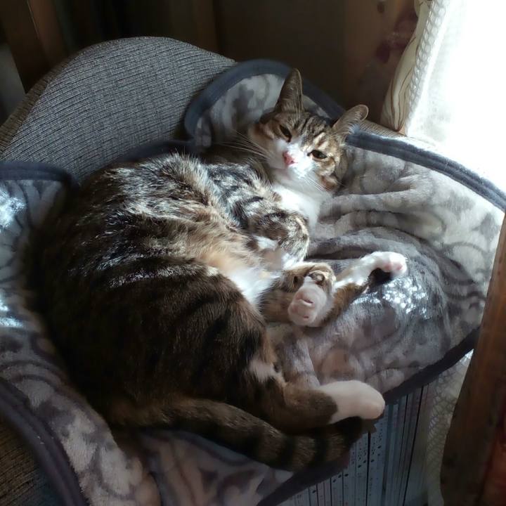 3ffd0b88 3722 47ea 9a57 80c0f0a671f8 1558741792651