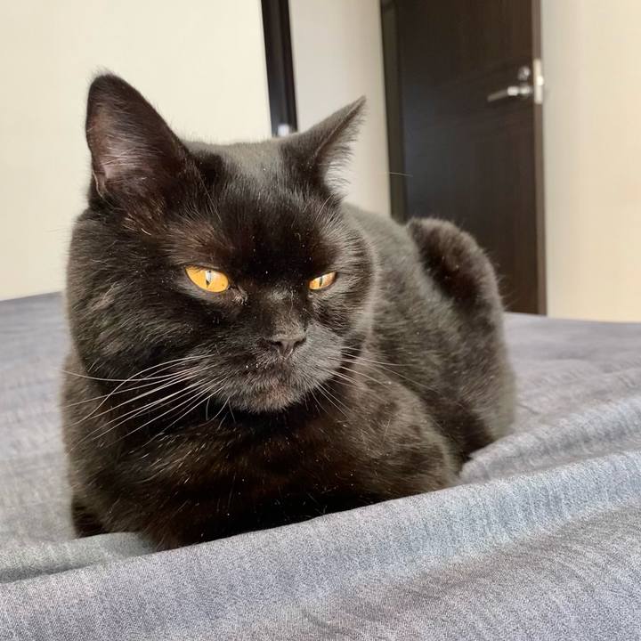 3ffd0f99 4b7a 4db5 9099 68e5cd49e114 1651998181444