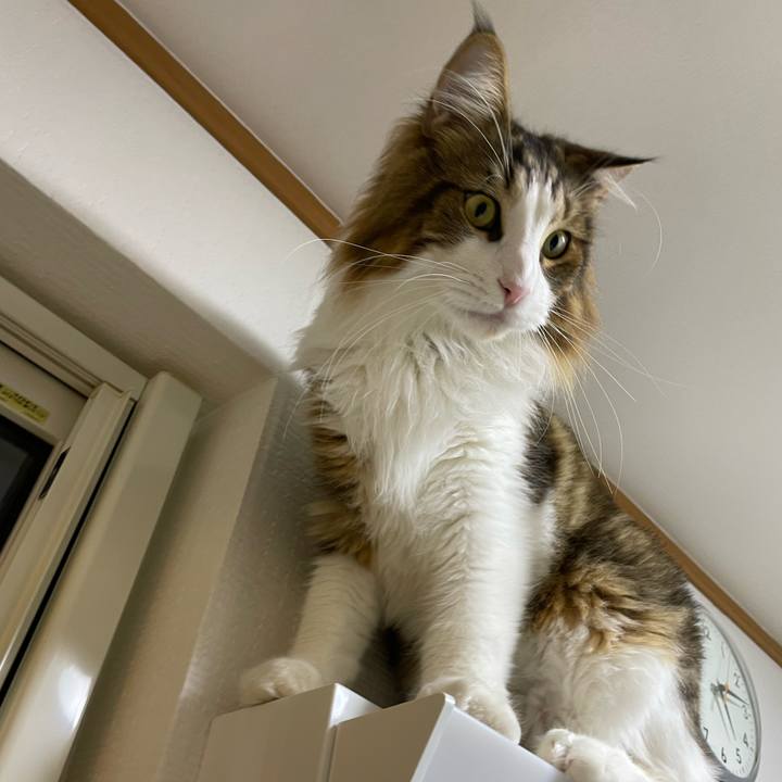 3ffd558a de3a 4e37 8c08 784ea8a4cb5e 1665001420357