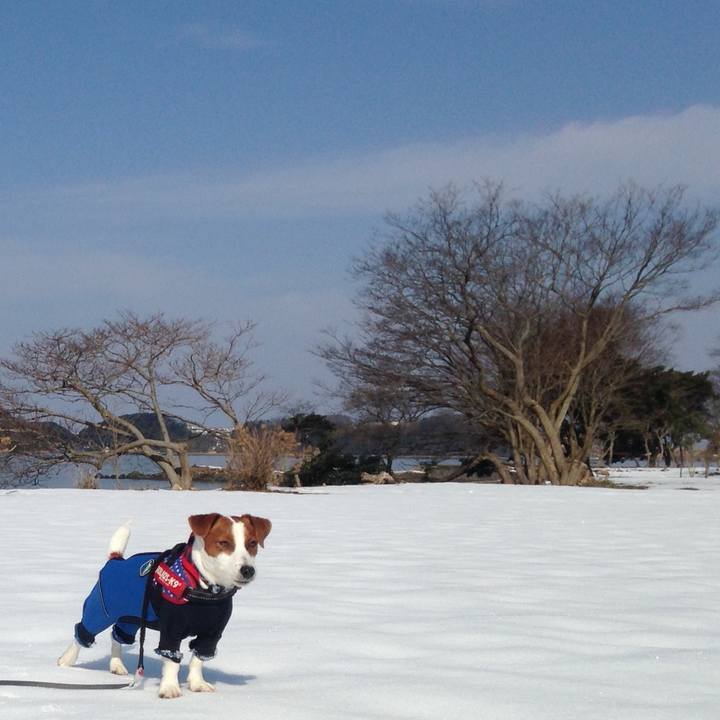 3ffd559c 8007 417c 8aa0 dc521832bd4e 1518148863684