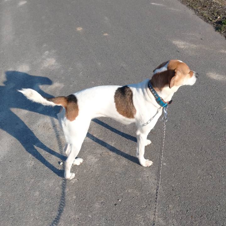 3ffd8631 a314 4afc 8060 b4de977a8081 1613459115180