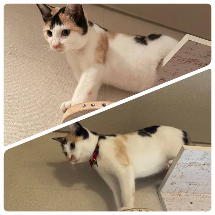 3ffdadce 6431 47d2 b194 7a3b612c4d44 1709821650532