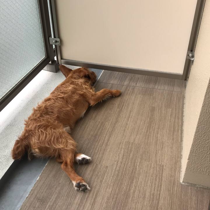 3ffdc776 fb0d 4976 8f78 52f6628613e5 1562457709174