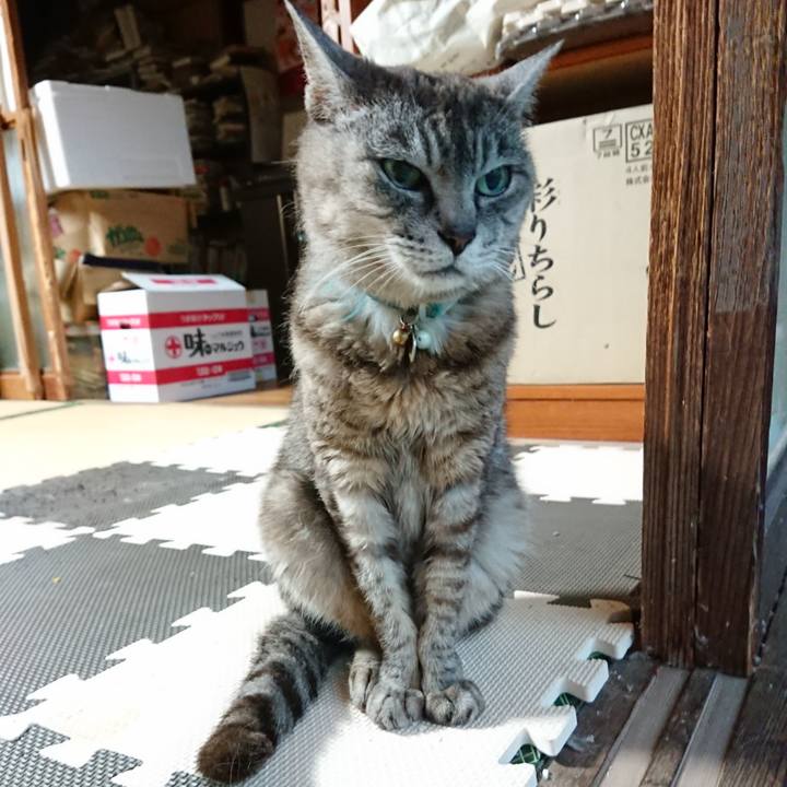 3ffdf33b 07b2 48c9 9252 be597980fd8c 1566506827923