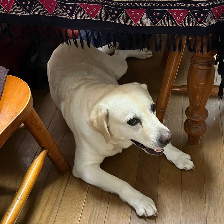 3ffdfb5b b045 424f 9348 96b882a71b67 1659085700467