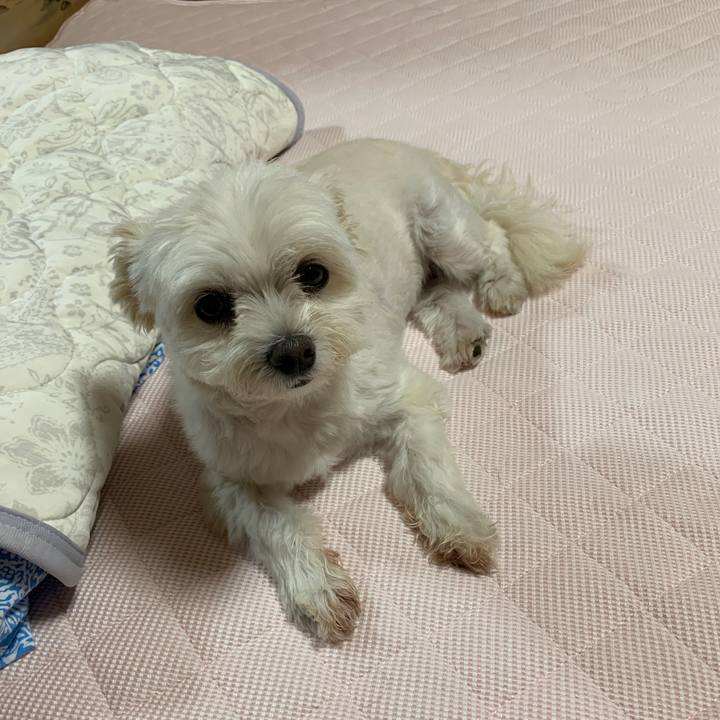 3ffe0e02 1b57 4a86 bfd3 729b8dab7535 1627817949430