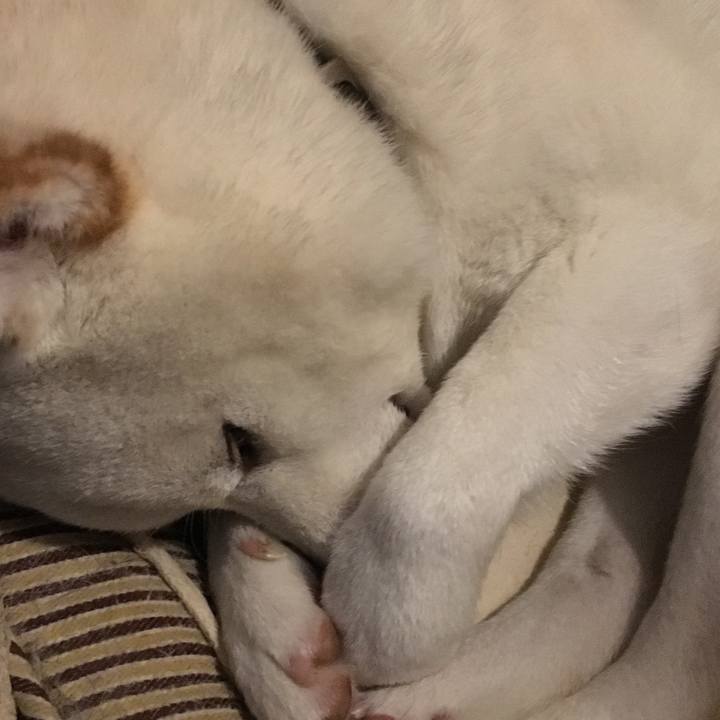 3ffe30fd 0031 4f99 bb93 47fa63b48940 1528857172637