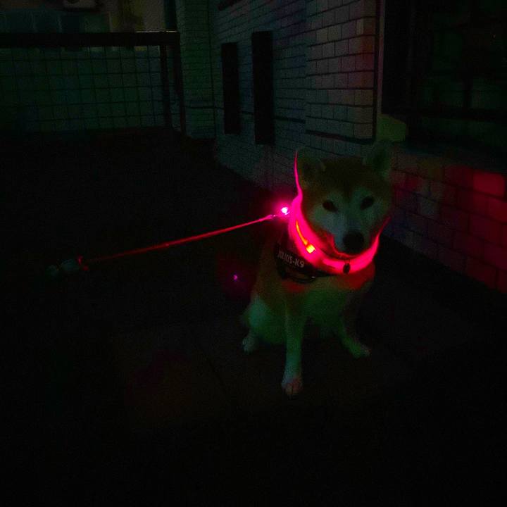 3ffe5919 60c4 4784 aa43 124cf941274c 1634029756305