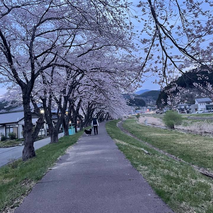 3ffea9ec 7ffc 4dac 9c2b 04df81054491 1680689860473