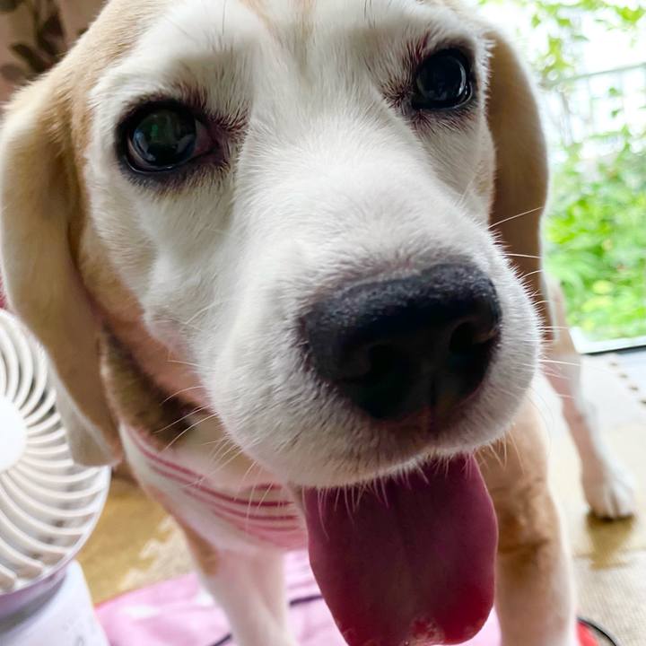 3ffecb41 5171 42e4 a006 fe1114d5da00 1626151616045