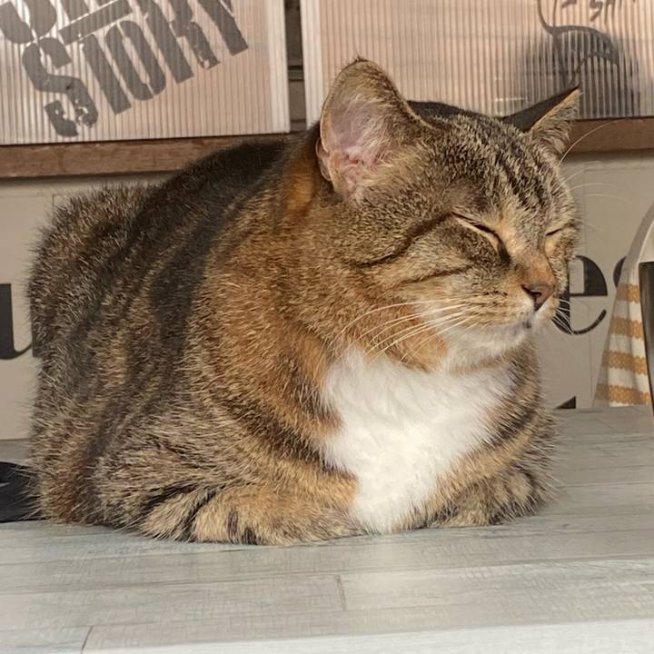 3ffedcee 5f74 436c 937c adf6265f2a25 1624148100917