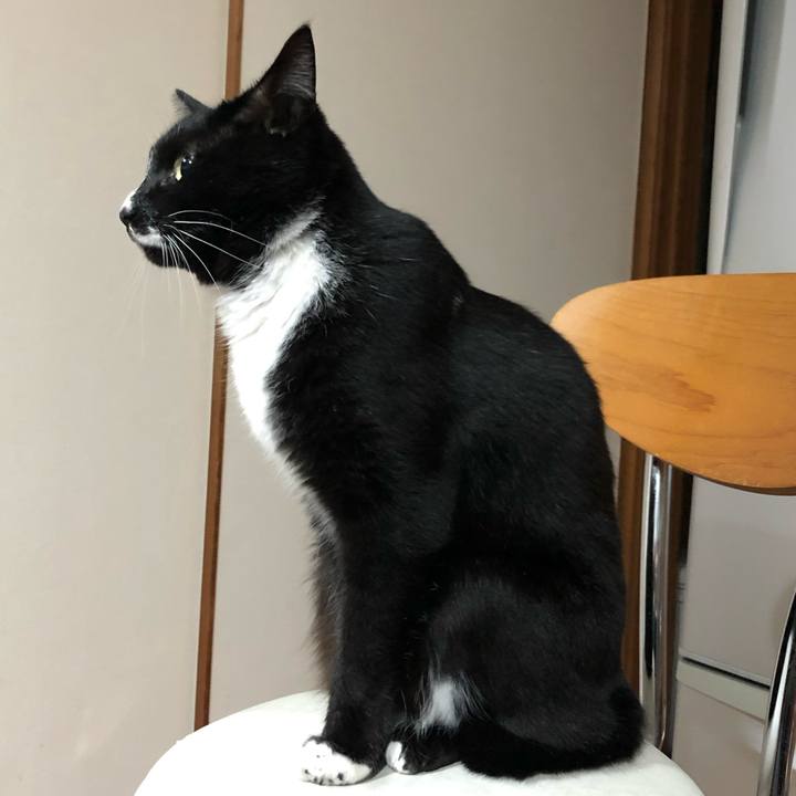 3fff0550 d78b 454d 95ef ac4e998735ca 1648824780200