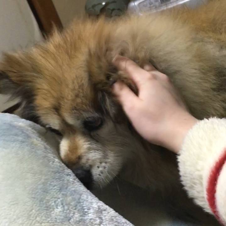 3fff3992 809c 4d8a b663 59169c035c15 1643300334925