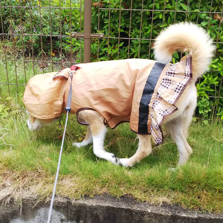 3fff4ffa 4f79 4413 9a88 1bc0dfabd63c 1529307715341