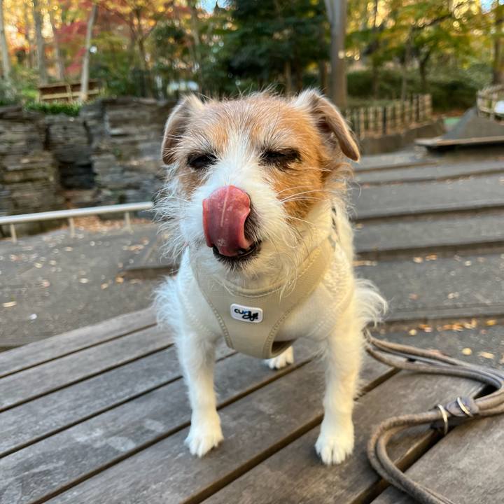 3fff5eda 43cb 411f 8478 6c5aaabe7d3a 1702204878132