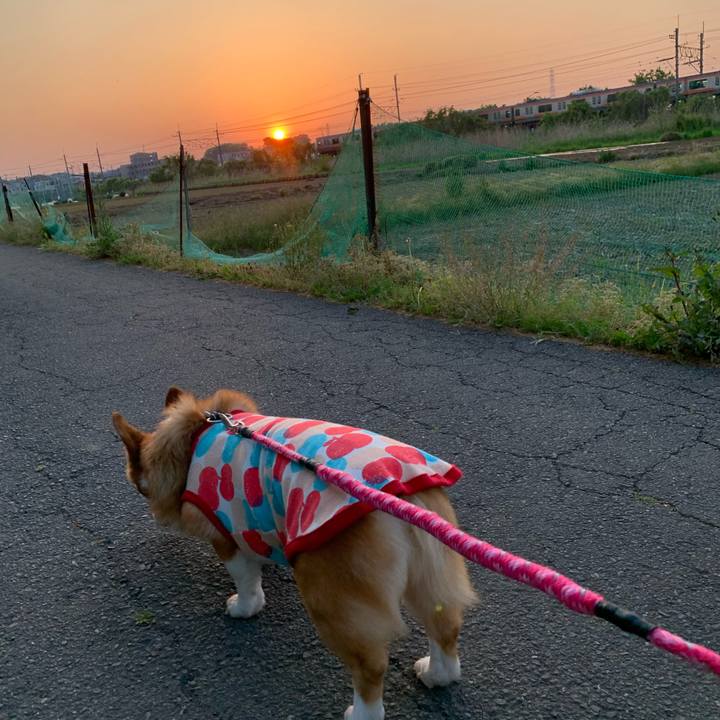 3fff7df7 2e0a 48d1 a8a2 c3eda1c5c2f6 1588328783676