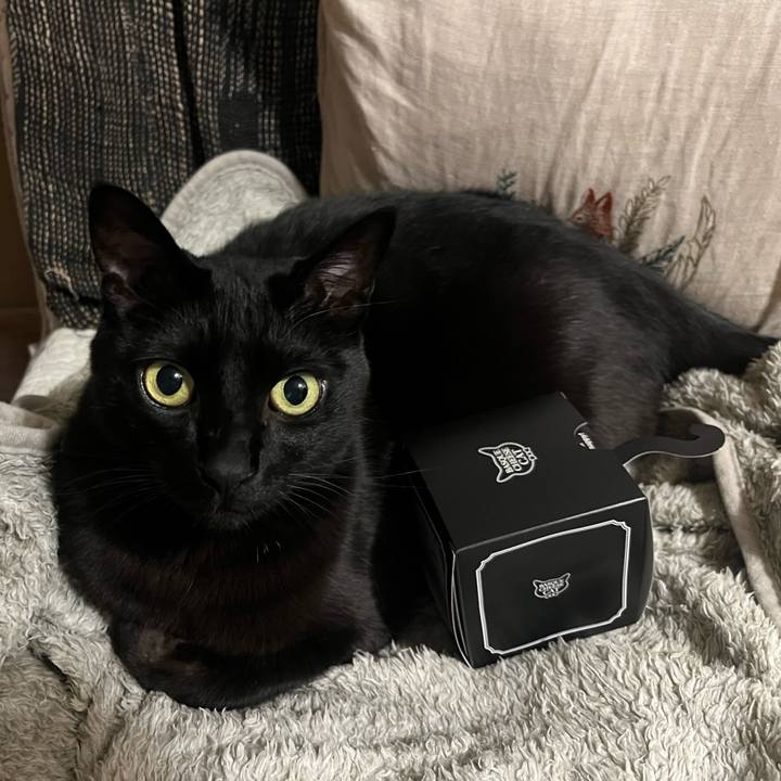 3fff7e37 929d 489f 9b1b a3f66a7886c2 1773750316673